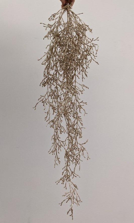 XM13261 GLT WEEPING GLASSWORT,37.5in-12/72P