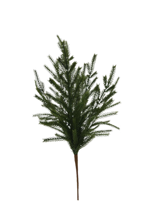 XM13602 NORFOLK PINE BUSH,19.5"
