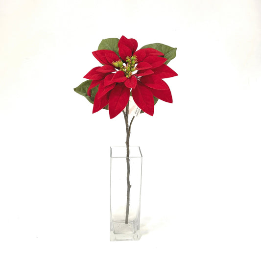 XM13671 POINSETTIA STEM,23in-24/72P