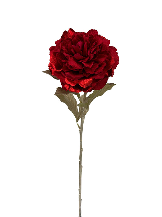XM13723 VELVET PEONY SPRAY,26in-12/144P