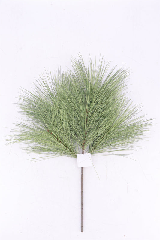 XM13776 NEEDLE PINE SPRAYx5,24"