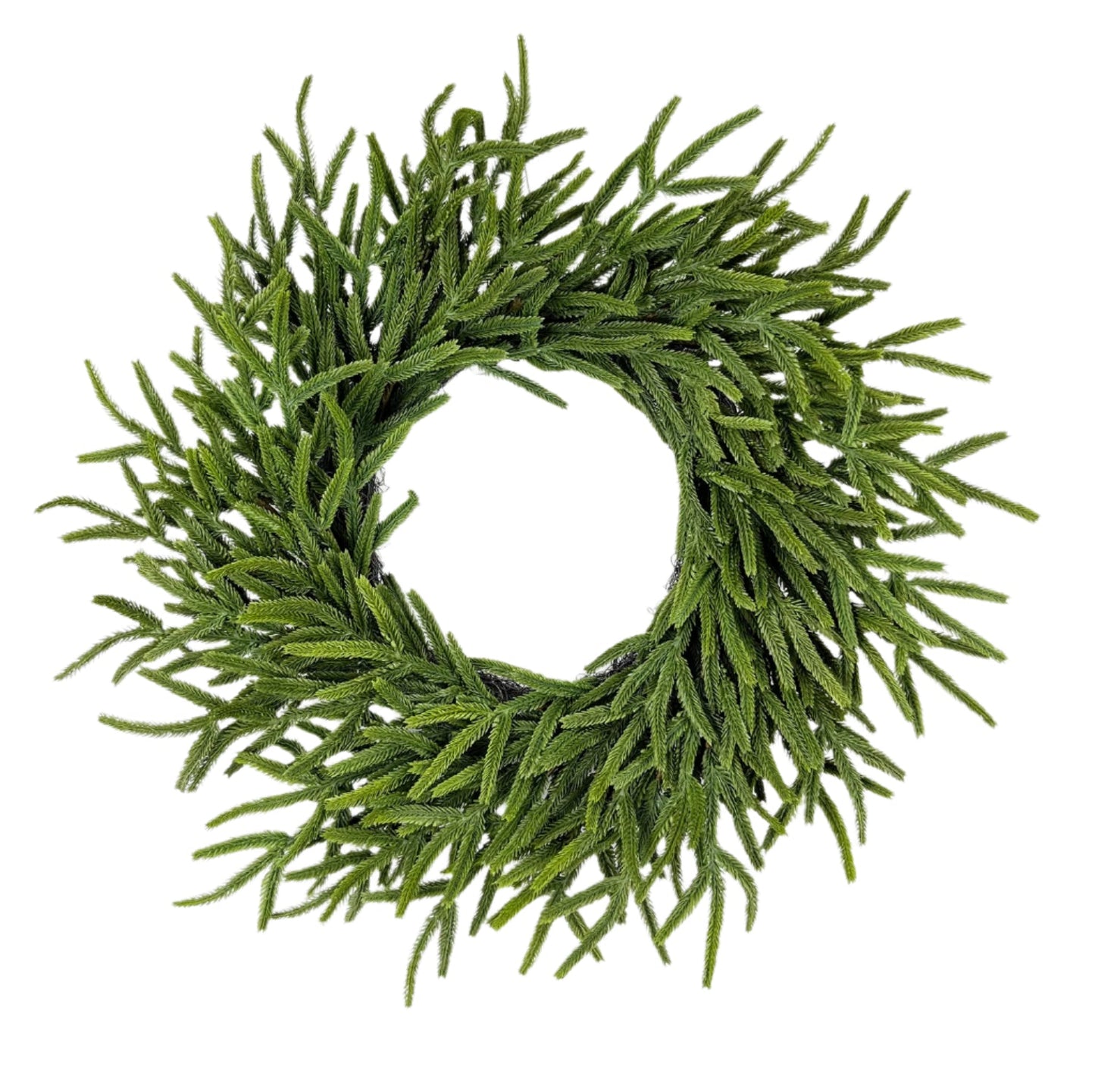 XM14168 PINE WREATH,22"