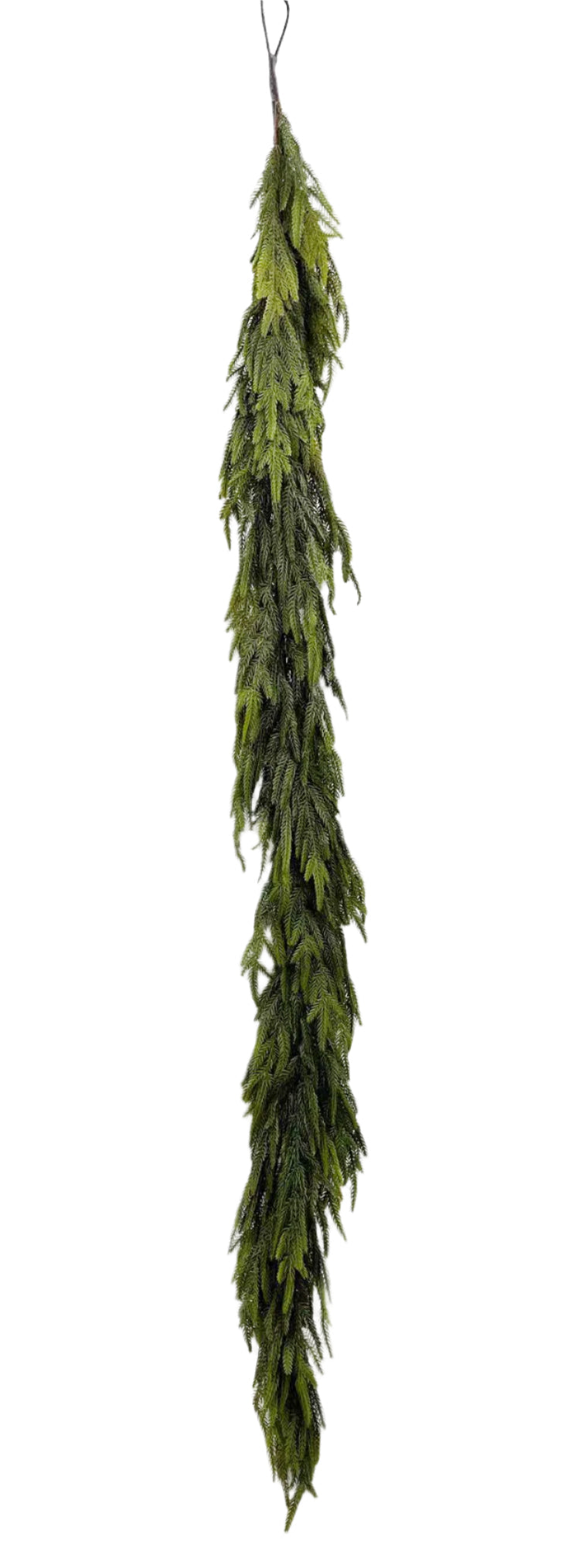 XM14173 PINE GARLAND,6'