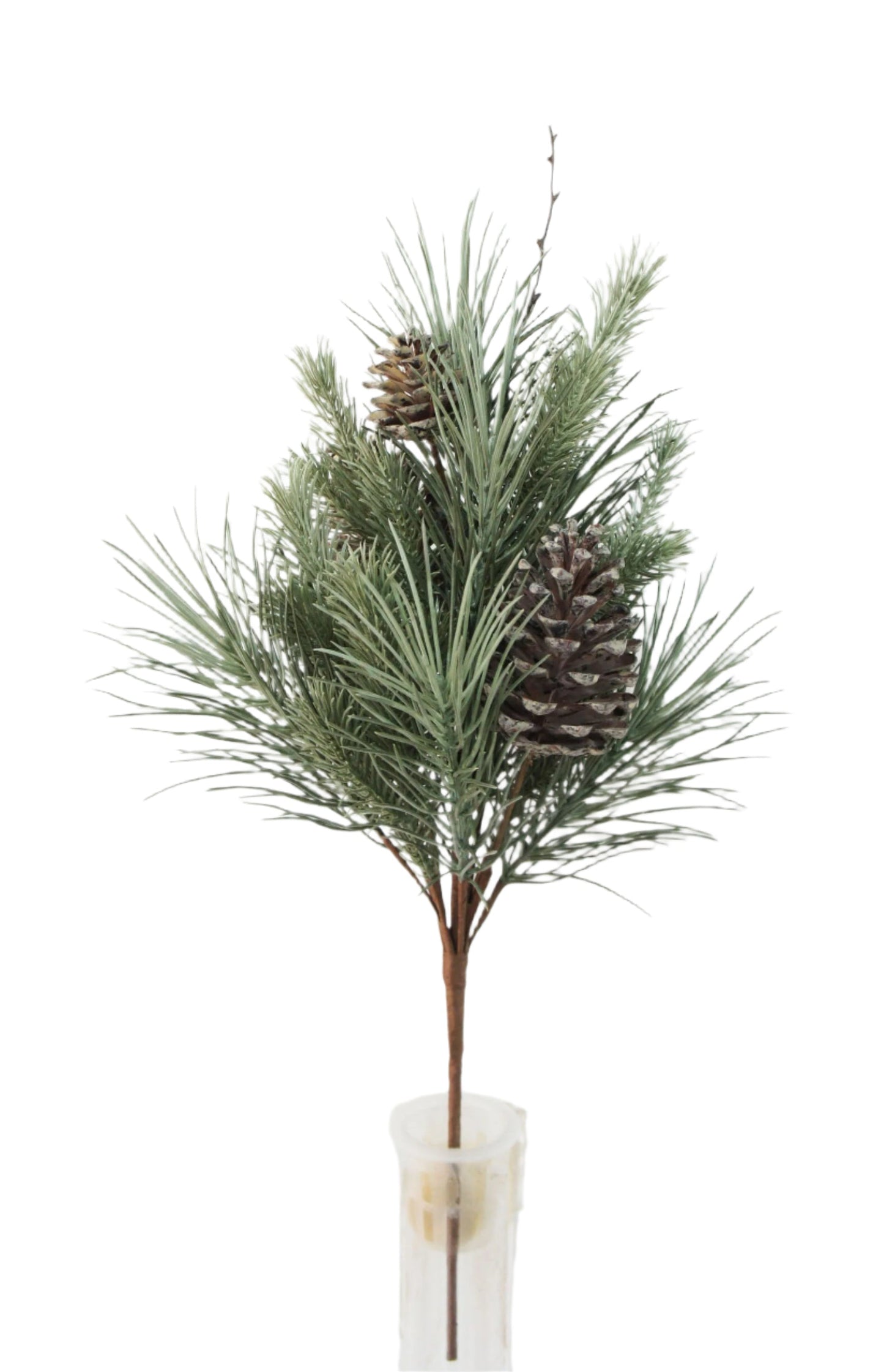 XM14207 MIXED PINE/PE PCONE BUSH,21"