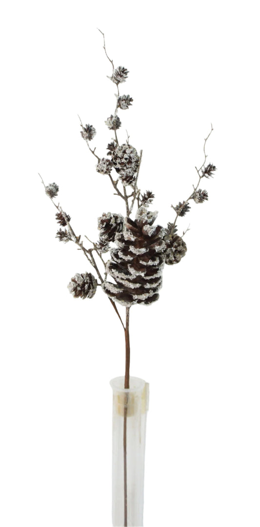 XM14212 ASSORTED PE PINECONE w/ICE SPRAY,30"