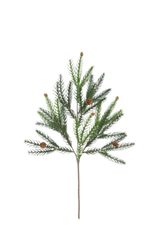 XM14320 NORFOLK PINE/PINECONE PICK 17"