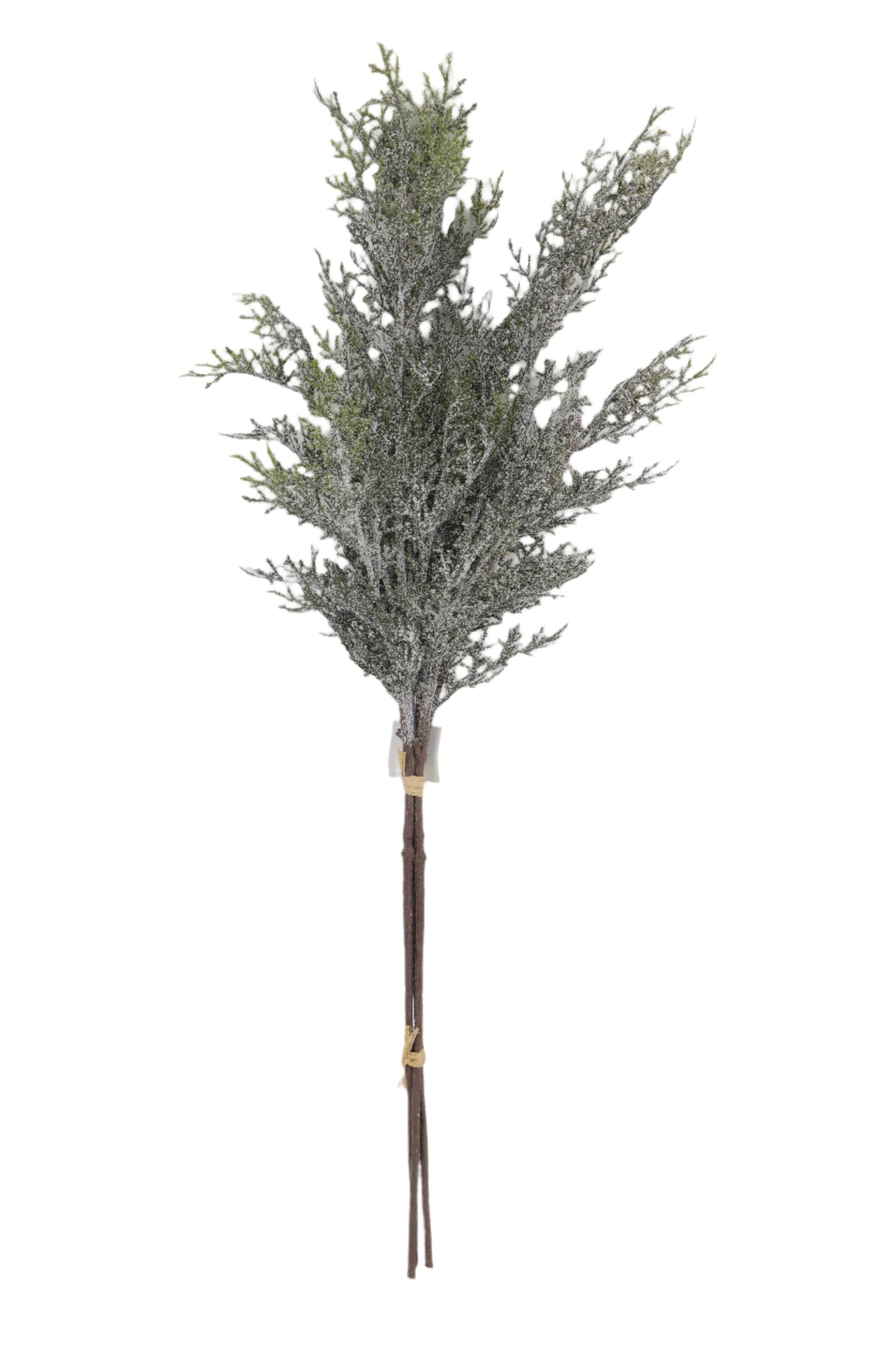 XM14323 FROSTED CYPRESS BUNDLEx3 39"