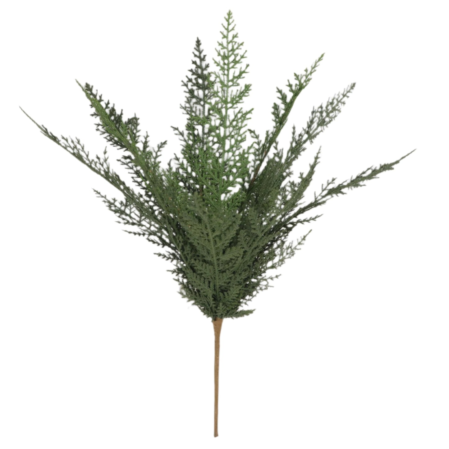 XM14345 FLAT CEDAR BUSH 19.5"