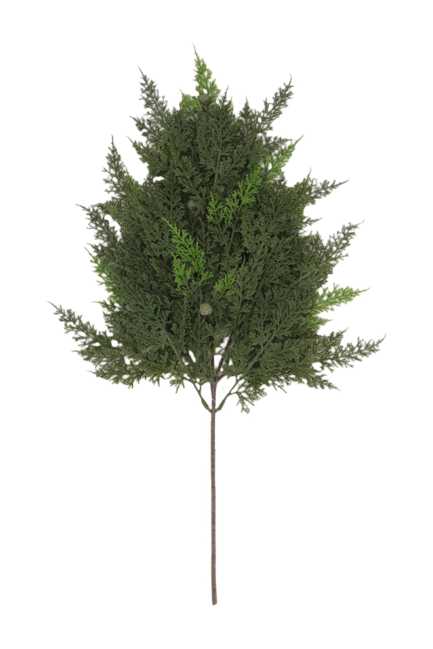 XM14363 FLAT CYPRESS/BABY PINECONE SPRAY 29"