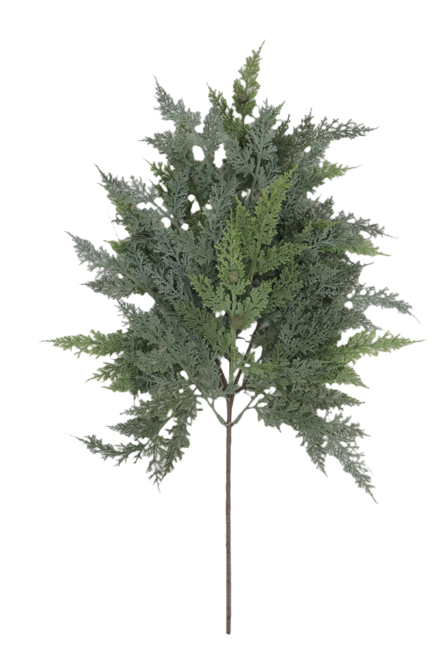 XM14363 FLAT CYPRESS/BABY PINECONE SPRAY 29"