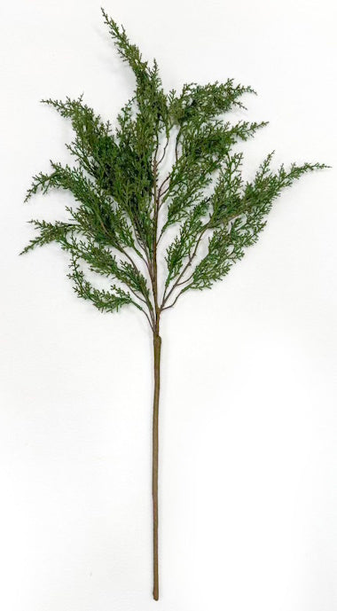 XM14511 CYPRESS SPRAY,30"
