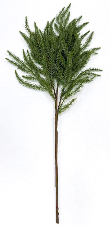XM14591 NORFLOK PINE SPRAY,30"