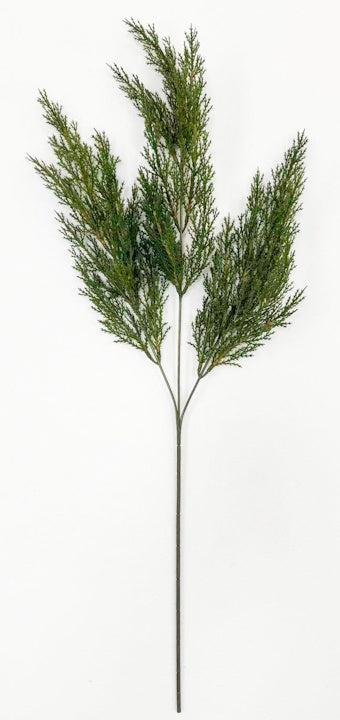 XM14601 BABY CYPRESS SPRAY,31"
