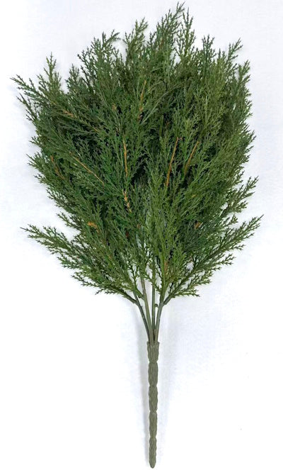 XM14607 BABY CYPRESS BUSH,20"