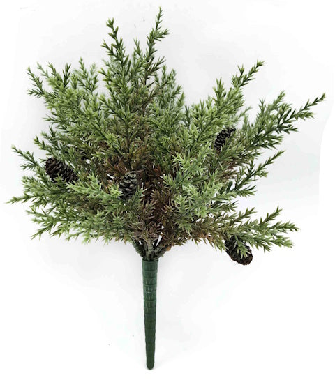 XM14624 CYPRESS BUSH,10.5"