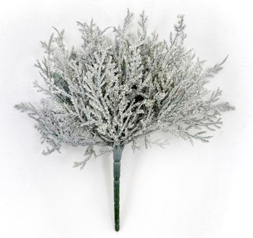 XM14625 CYPRESS BUSH,10"