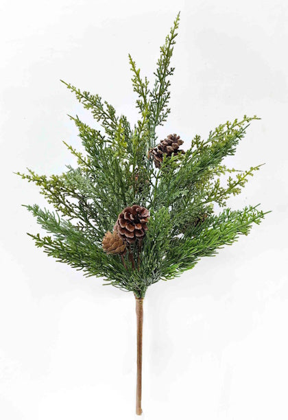 XM14628 MOUNTAIN PINE w/PINECONE BUSH,18"