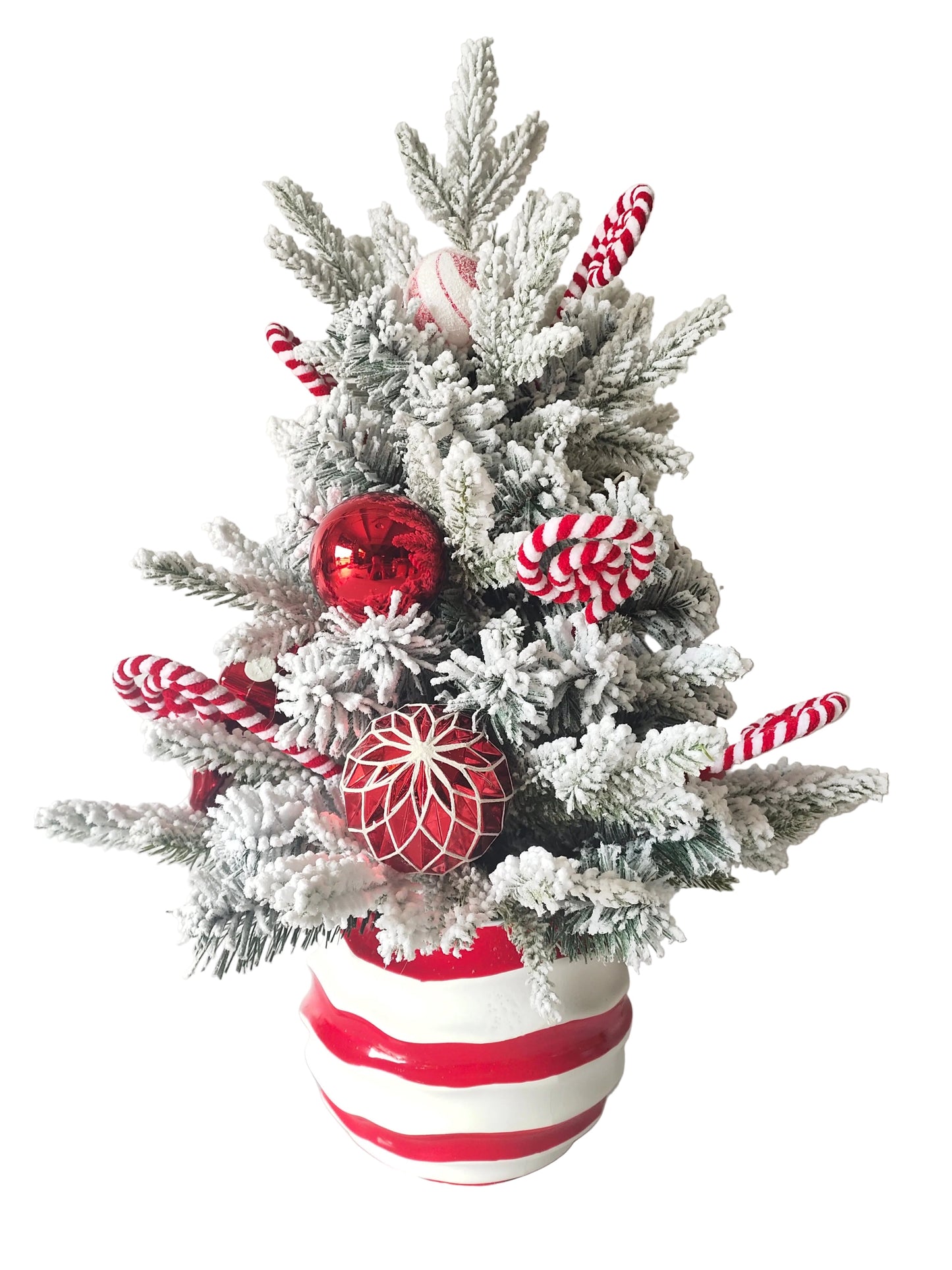 XM14674 POTTED MIXED FLOCKED PINE/ORN TREE,26"