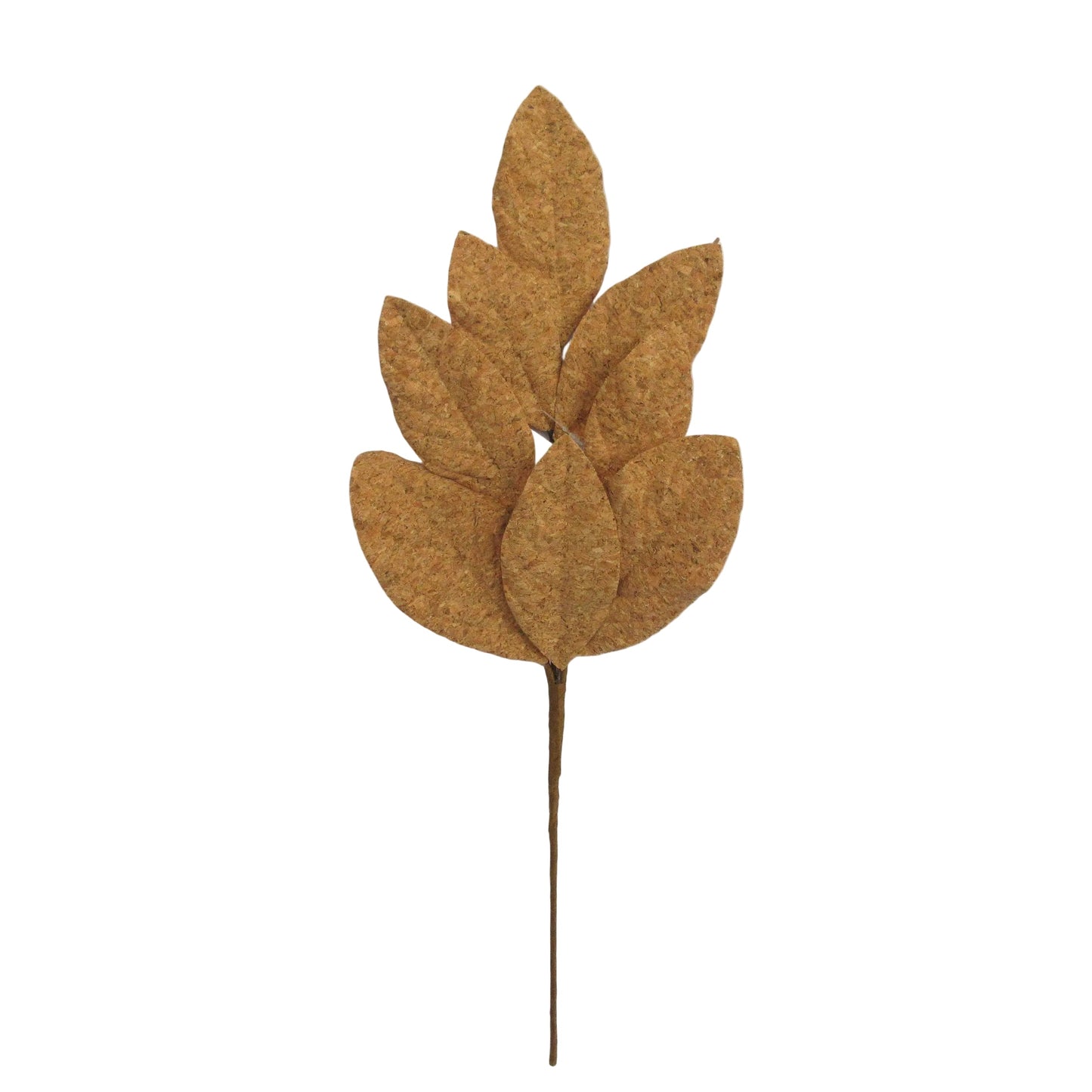 XM14686 CORK FINISH MAGNOLIA LVS SPRAY