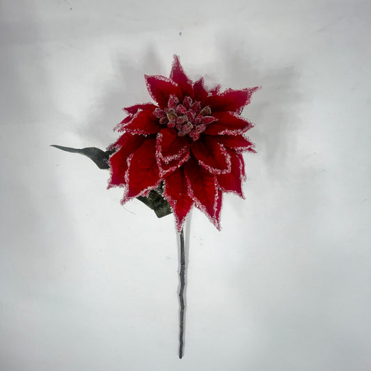 XM14741 VELVET/ICED POINSETTIA SPRAY,24"