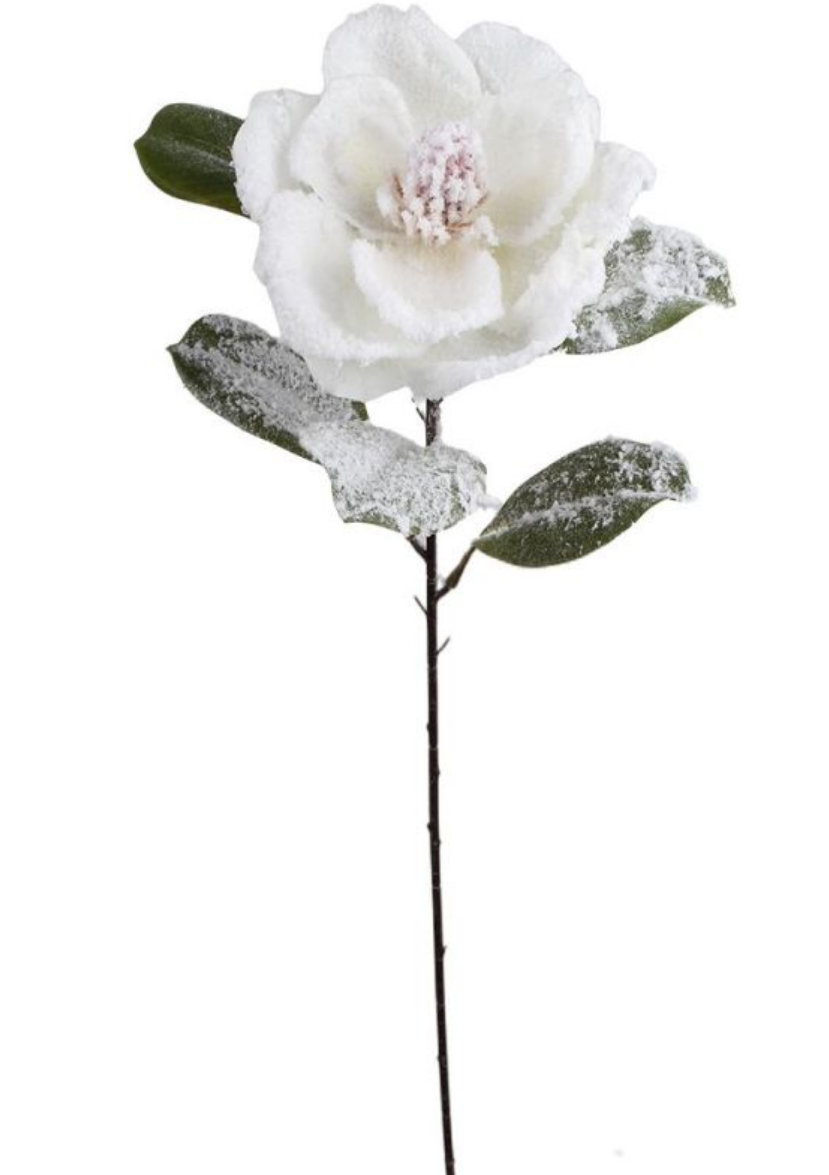 XM14833 MAGNOLIA w/SNOW SPRAY,27.5"