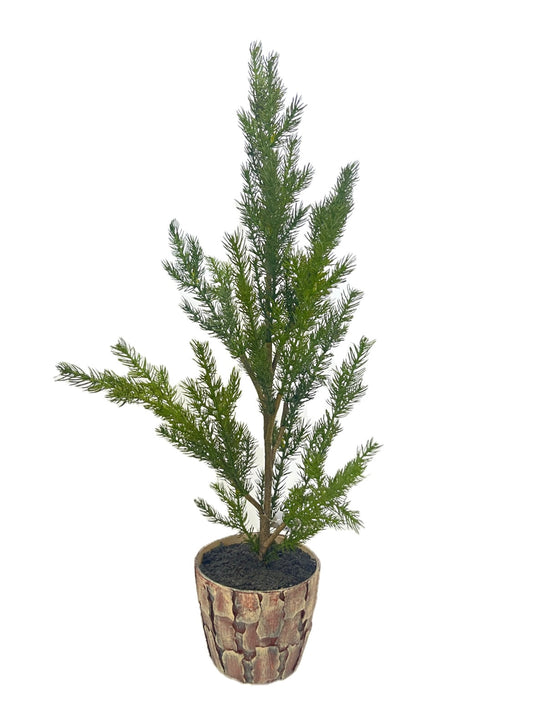 XM30063 POTTED PINE TREE,30.5in-2/12P