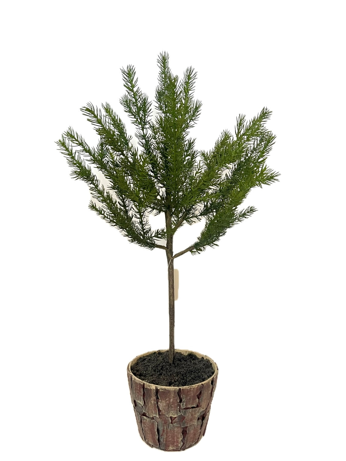 XM30066 POTTED PINE TOPIARY,26in-2/12P