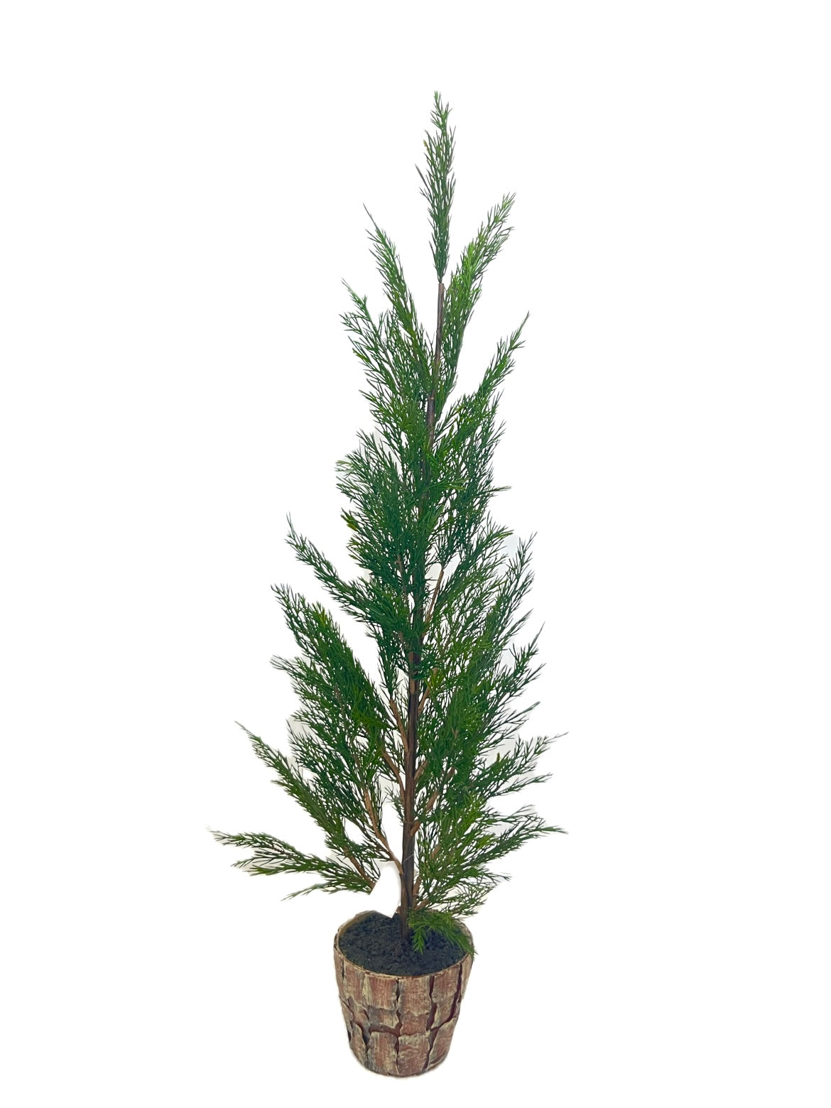 XM30067 POTTED PINE,41.5in-2/12P