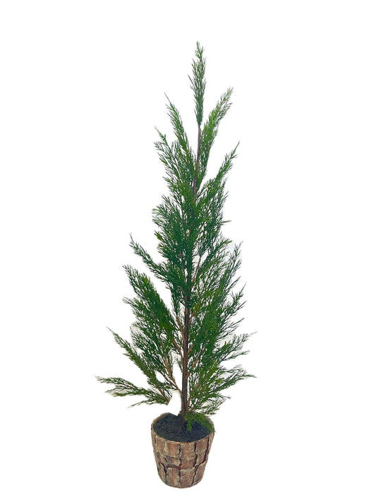 XM30067 POTTED PINE,41.5in-2/12P