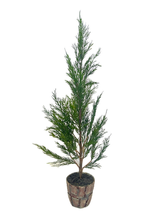 XM30068 POTTED PINE,32in-2/24P