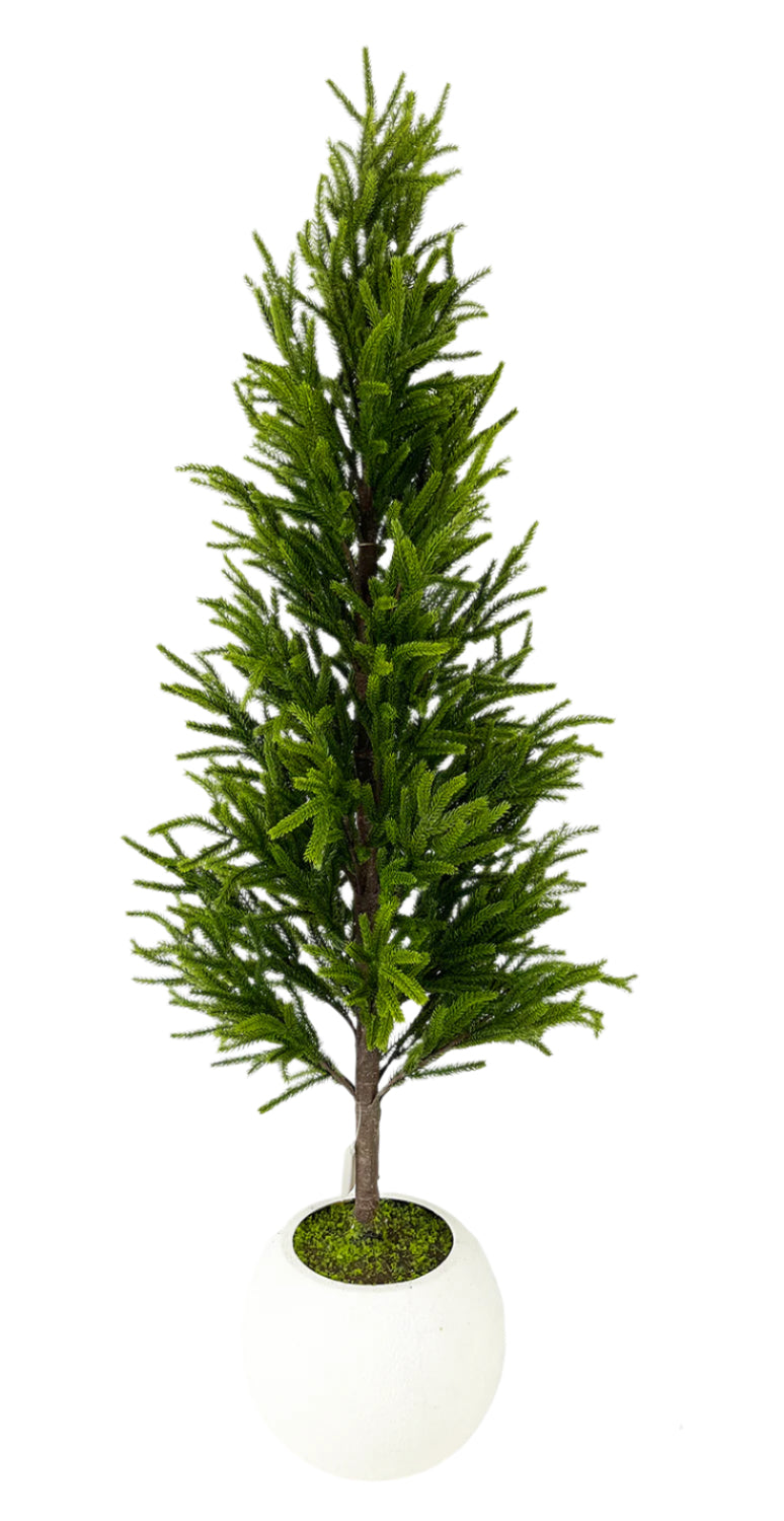 XM30092 POTTED PINE TREE,47"