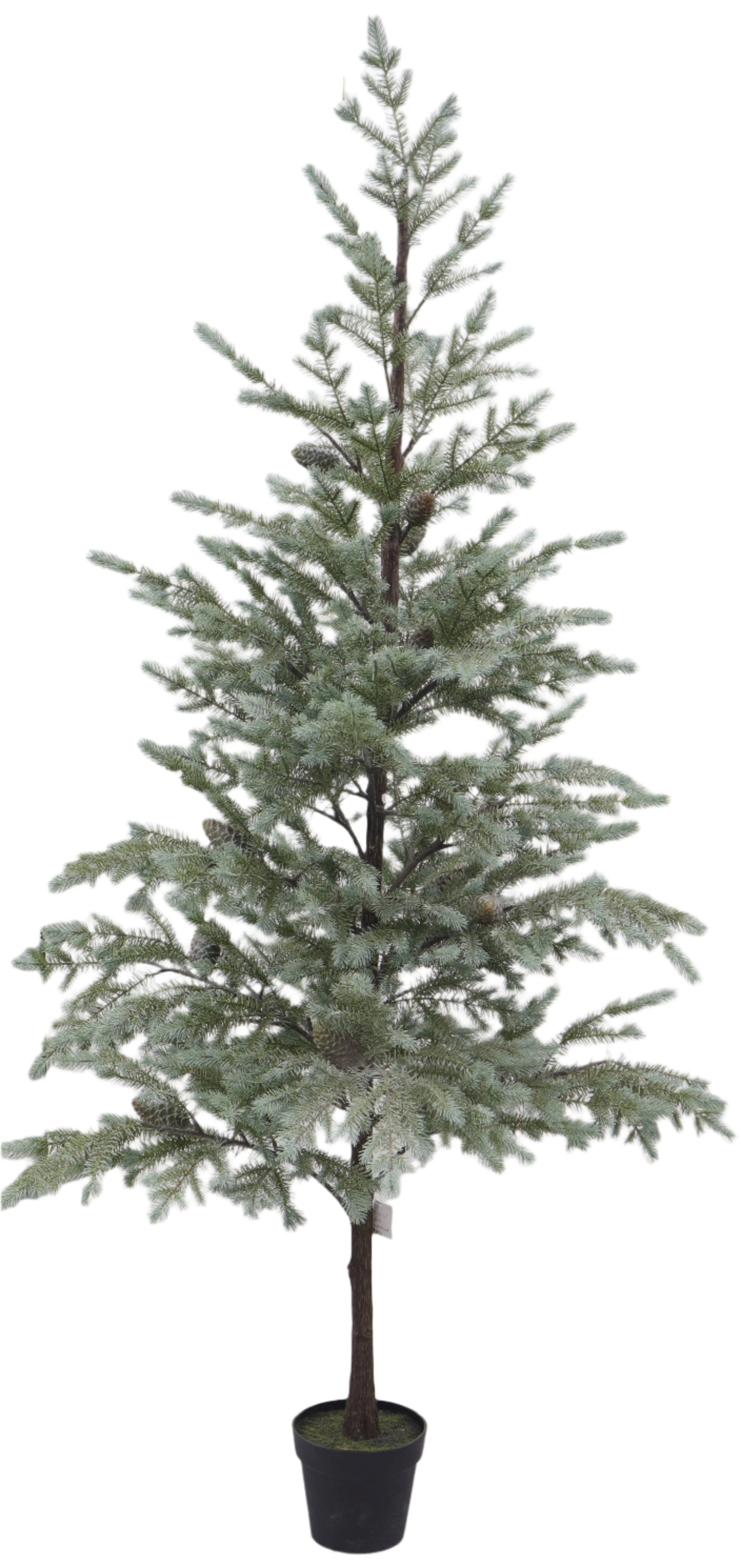 XM30122 BLUE SPRUCE/PINECONE TREE 7'