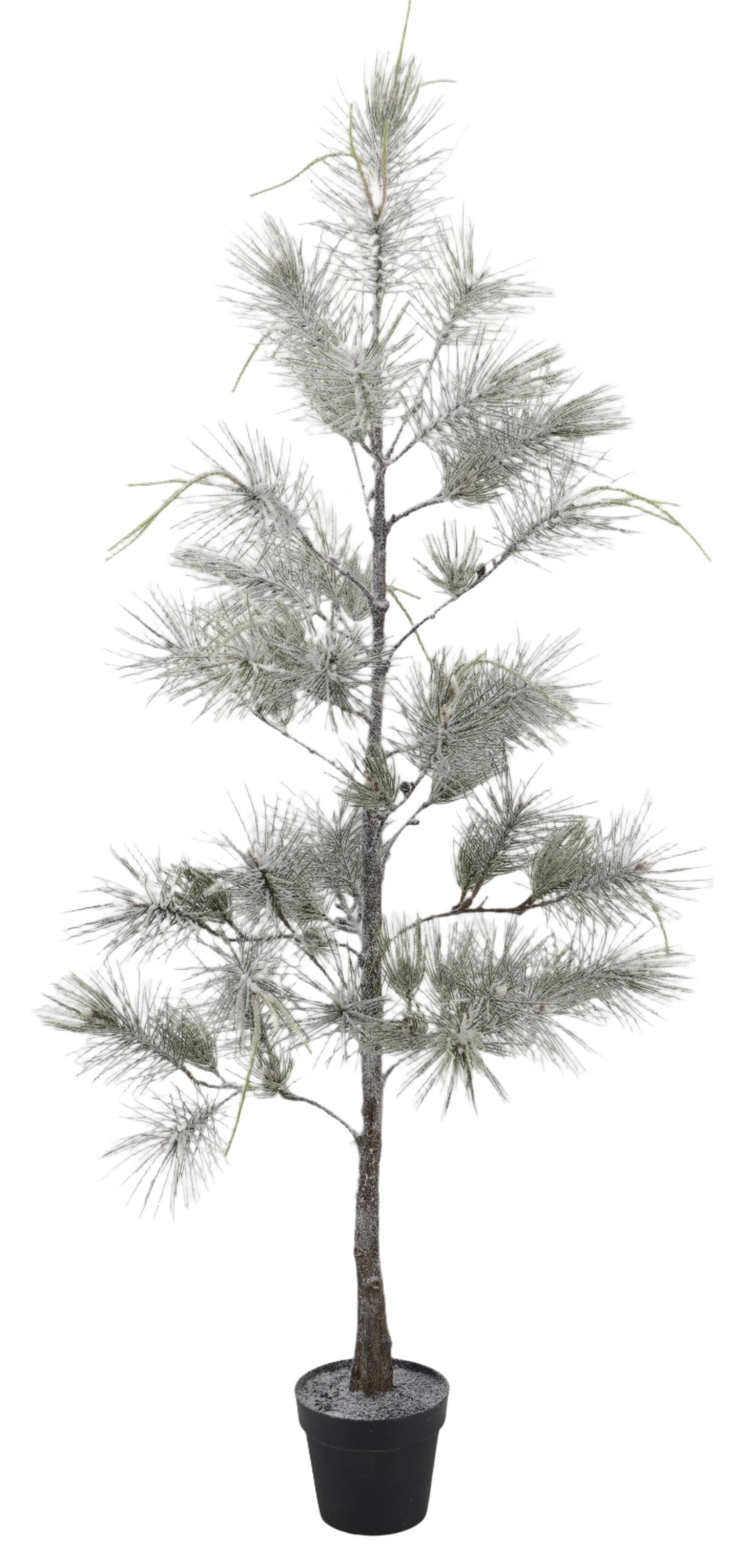 XM30130 SNOWY NEEDLE PINE TREE 6'