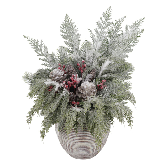 XM30133 MIXED PINE/BERRY ARRANGEMENT 24"