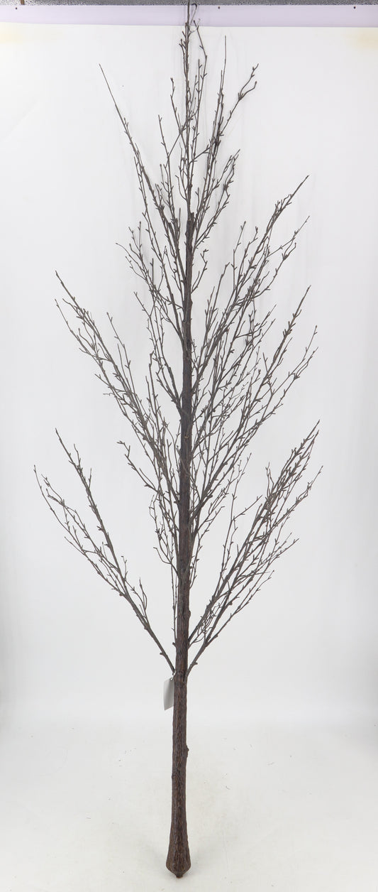 XM30275 TWIG TREE (NO POT),7'
