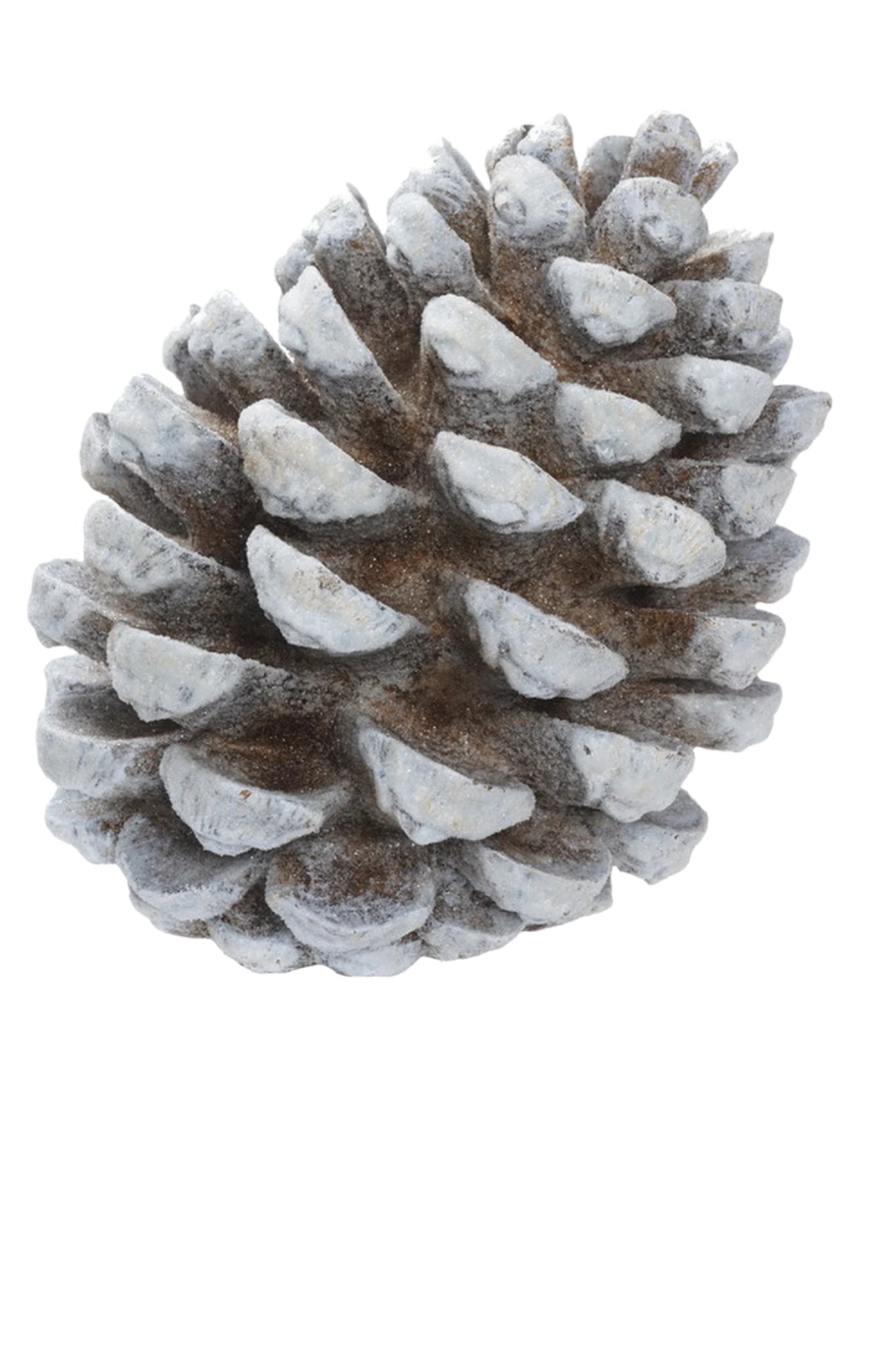 XR13298 RESIN FROSTED PINECONE 11"