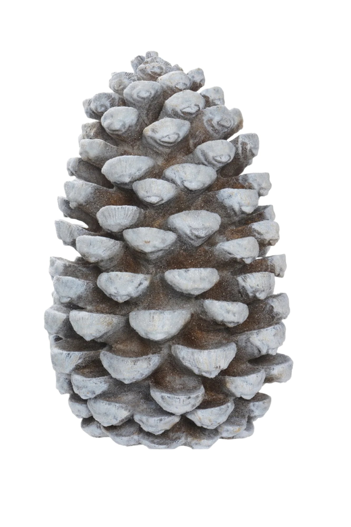 XR13299 RESIN FROSTED PINECONE 18"