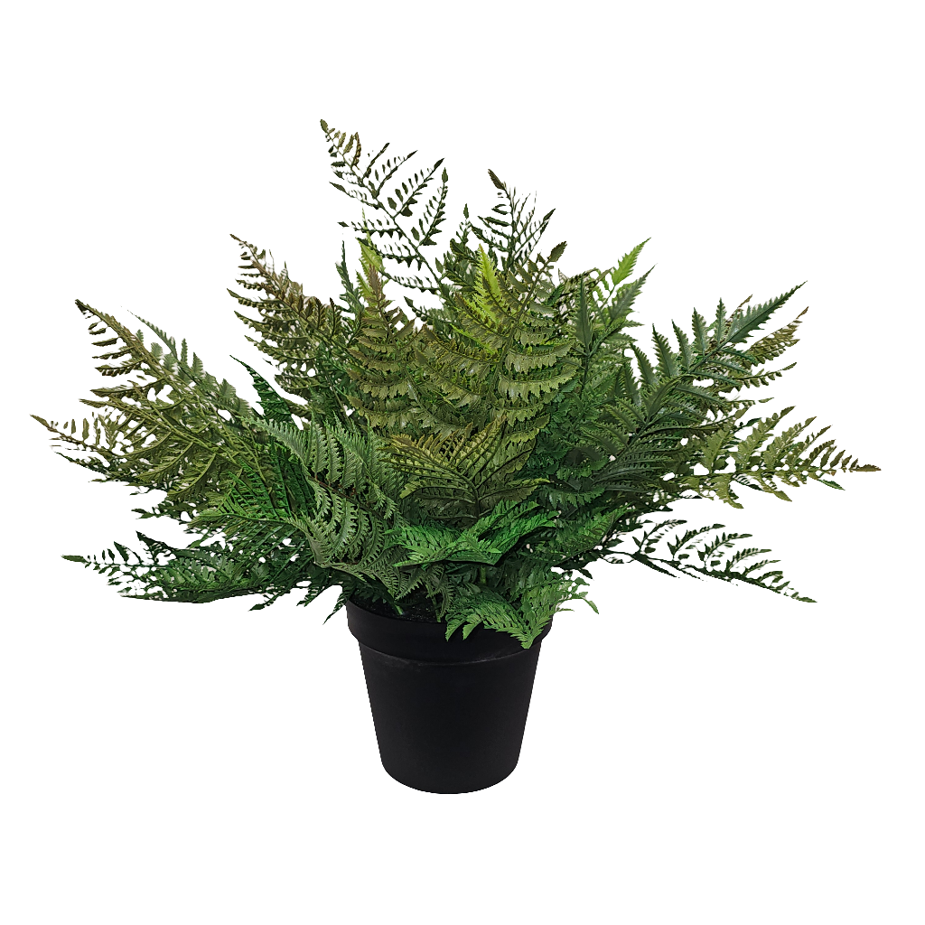 PM10378 POTTED FOREST FERN,27"