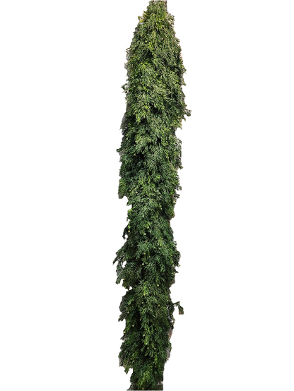 GG3435 CEDAR GARLAND