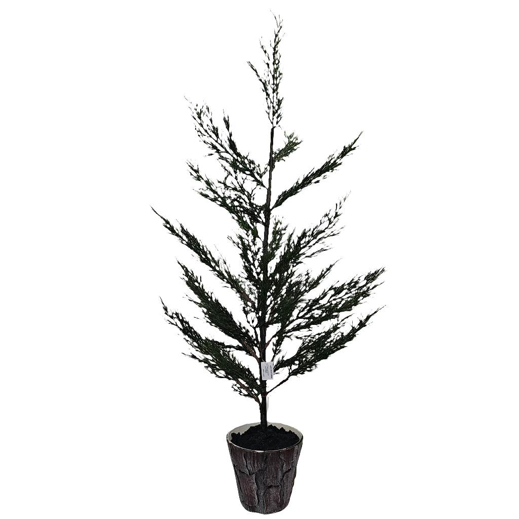 XM30068 POTTED PINE,32in-2/24P