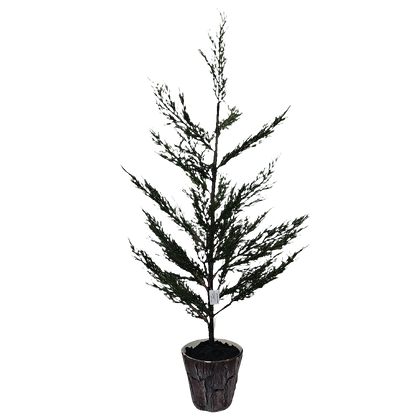 XM30068 POTTED PINE,32in-2/24P