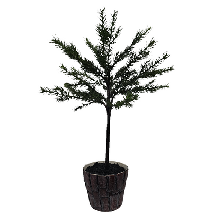 XM30066 POTTED PINE TOPIARY,26in-2/12P