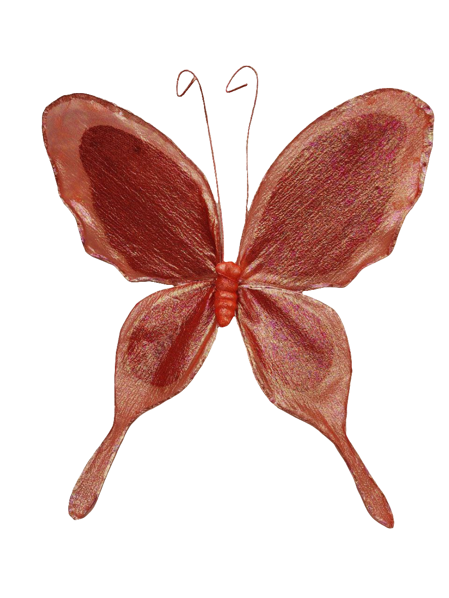 AC10406 GIANT BUTTERFLY,22in-8/24P