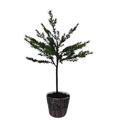 XM30066 POTTED PINE TOPIARY,26in-2/12P