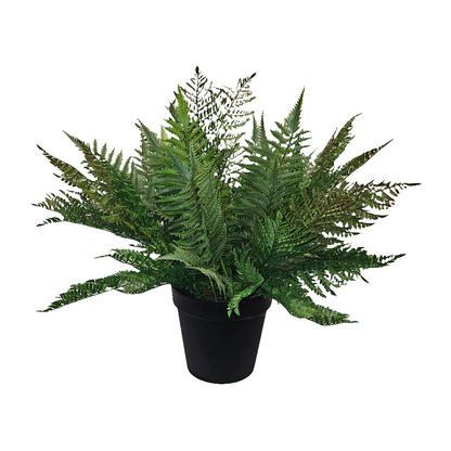 PM10378 POTTED FOREST FERN,27"
