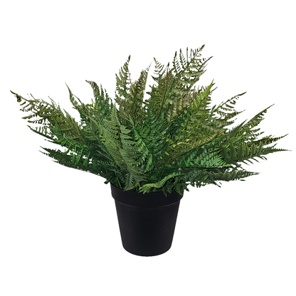 PM10379 POTTED FOREST FERN,29"