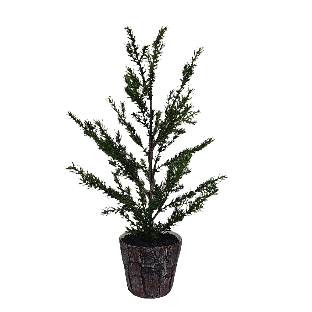 XM30063 POTTED PINE TREE,30.5in-2/12P