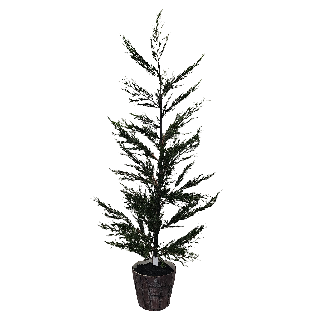 XM30067 POTTED PINE,41.5in-2/12P