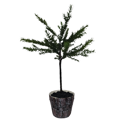 XM30066 POTTED PINE TOPIARY,26in-2/12P