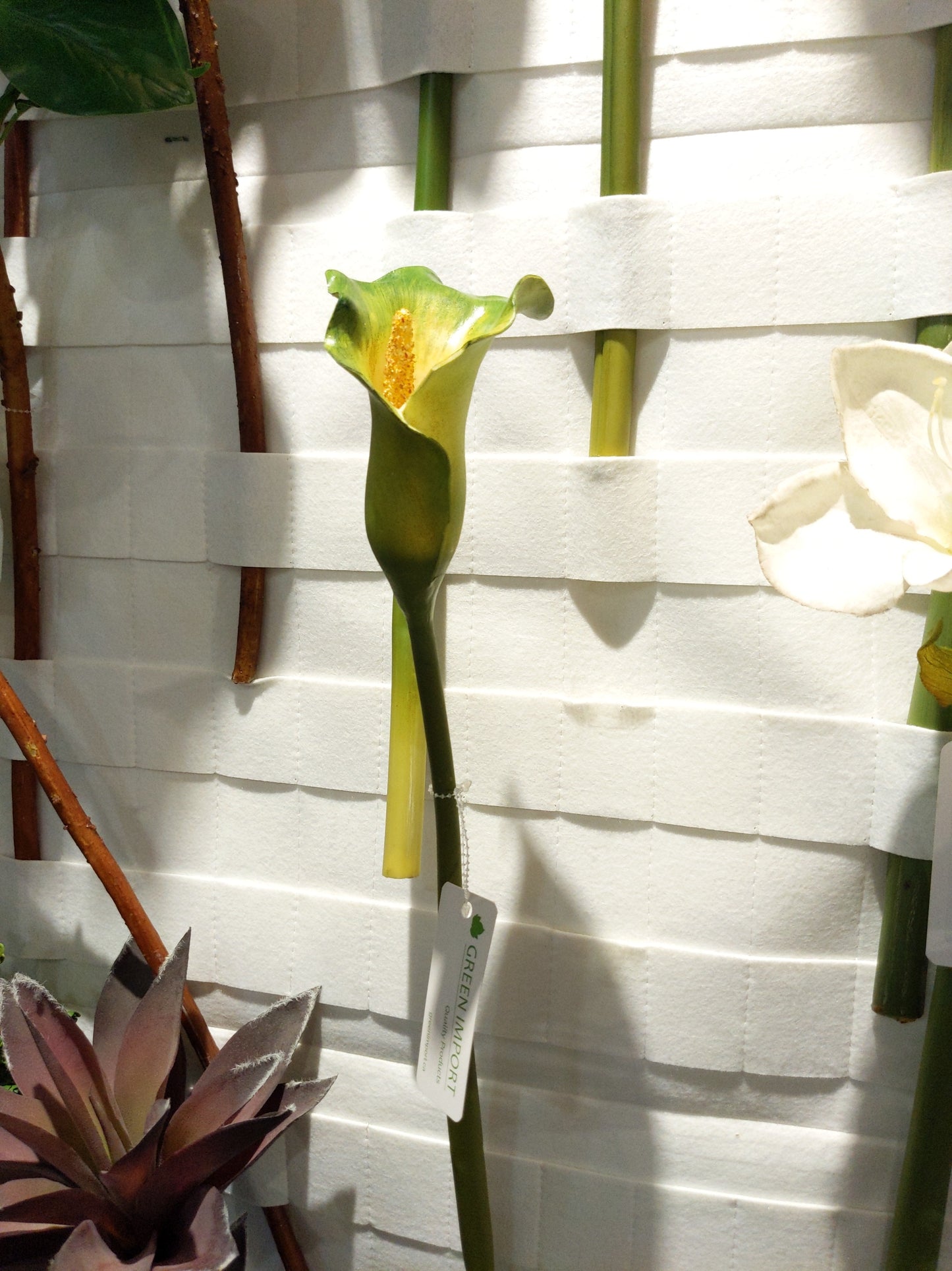 FL11441 CALLA,29in-12P/72/5.76'